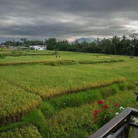 Ananditha Villa Ubud Ricefield Views Exterior photo