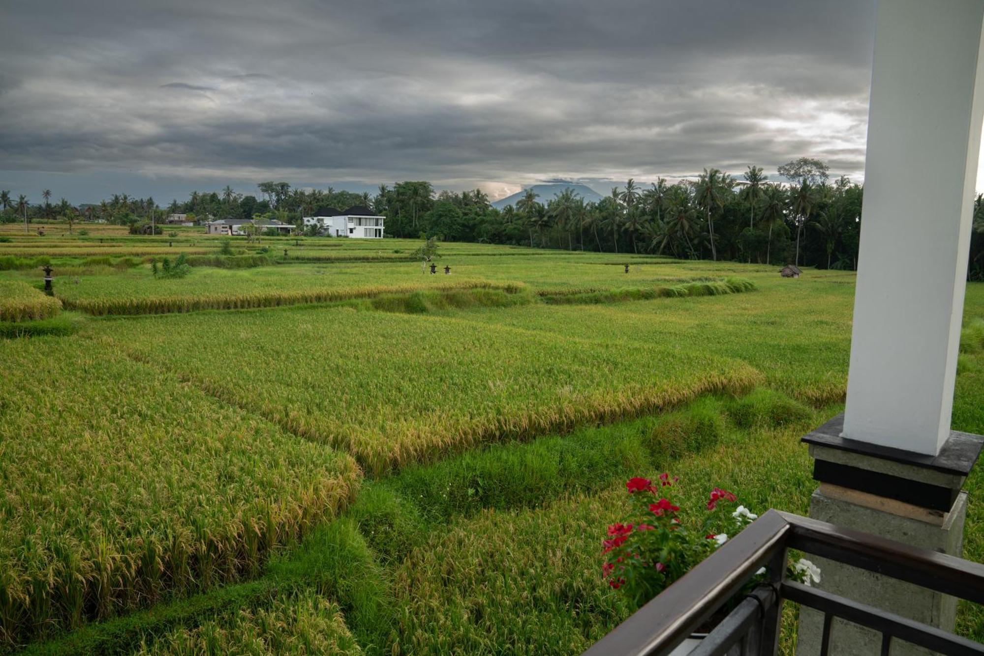 Ananditha Villa Ubud Ricefield Views Exterior photo